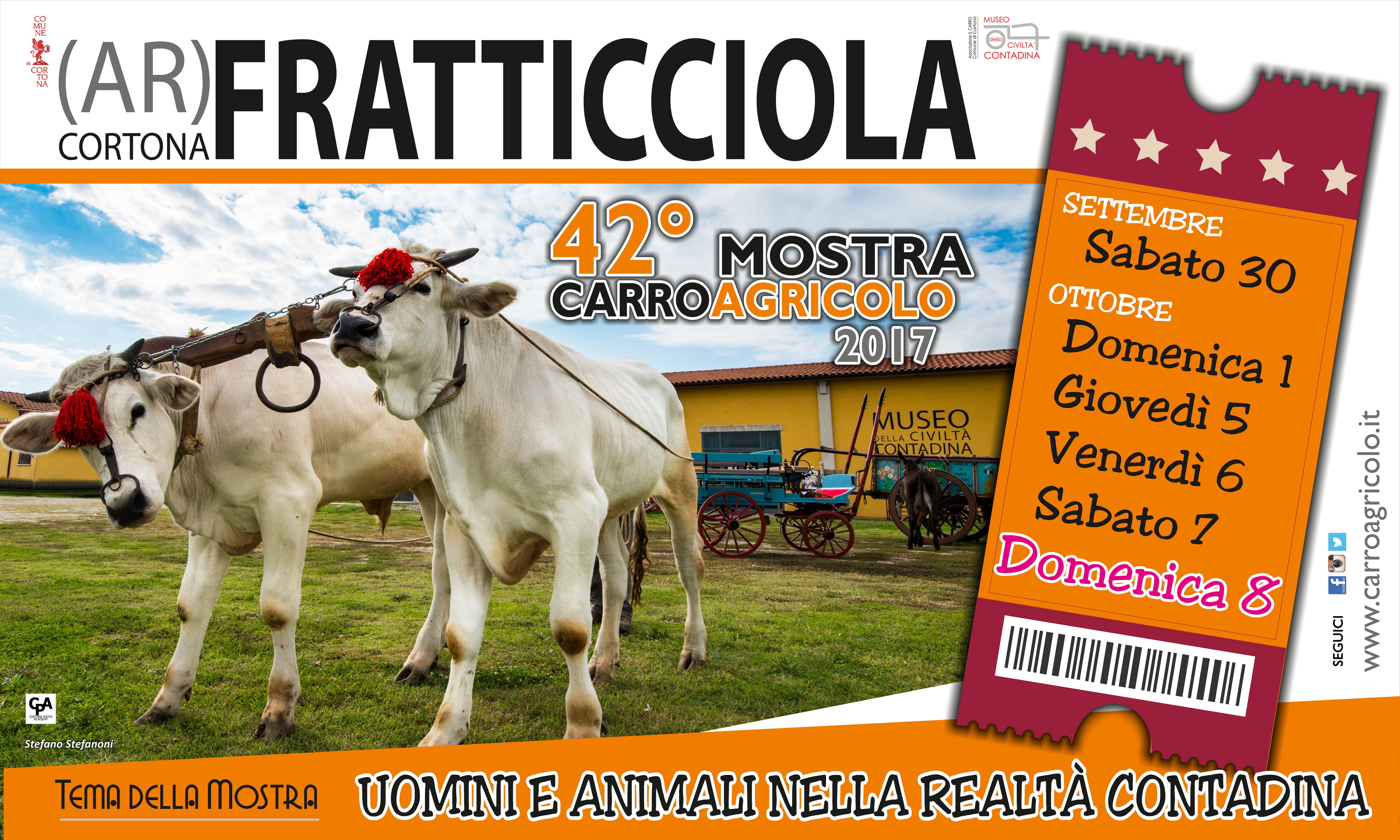 https://www.yellowbee.it/wp-content/uploads/2015/05/camion_vela_arezzo-21.jpg